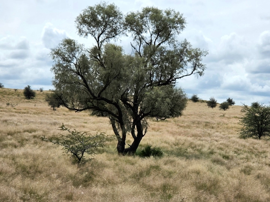 Commercial Property for Sale in Griekwastad Rural Northern Cape